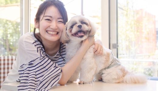 トリミングサロンの毛玉料金とは？犬に毛玉ができる理由や防ぐ方法、料金相場も解説