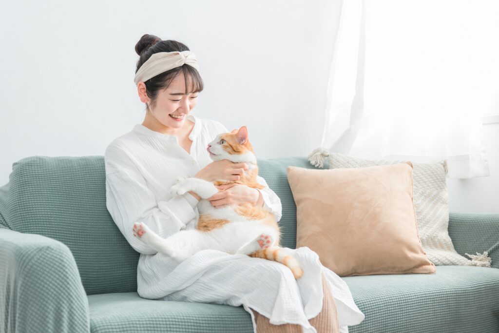 人間と猫の共通感染症