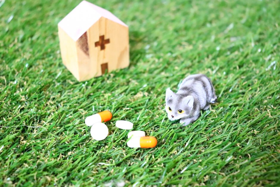 動物病院のリードなし受診はNG？事故なく受診するための基本マナーを解説