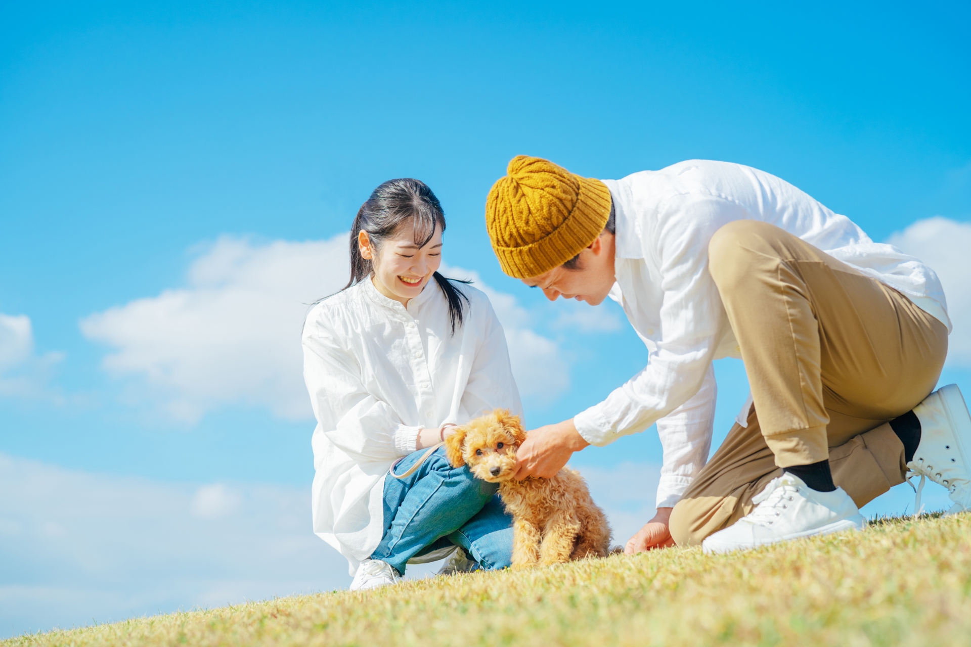 青空とカップルと茶色の子犬