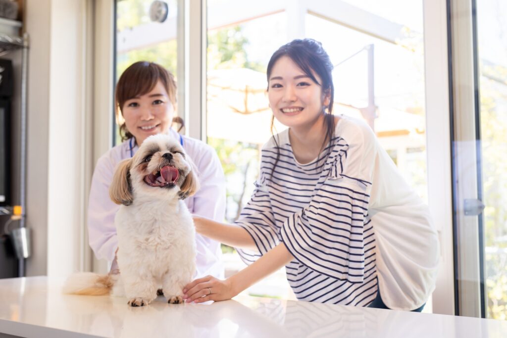 犬が皮膚炎になったときの治し方