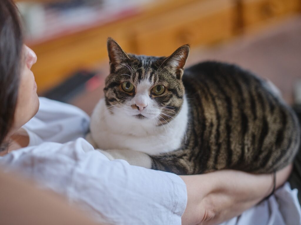 編集部まとめ