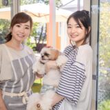 トリミングに失敗することはある？具体例や失敗を防ぐポイントを解説
