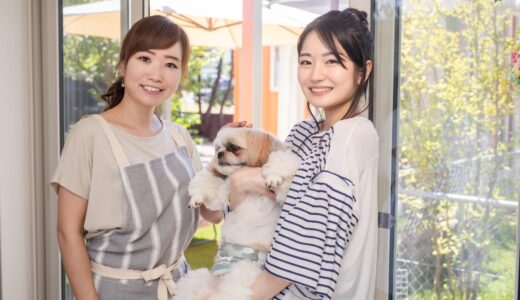 トリミングに失敗することはある？具体例や失敗を防ぐポイントを解説