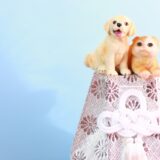 ペットのエンゼルケアは動物病院でも受けられる？費用相場や具体的な流れを解説