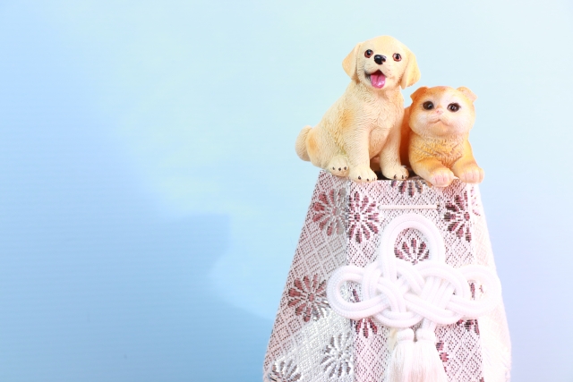 ペットのエンゼルケアは動物病院でも受けられる？費用相場や具体的な流れを解説