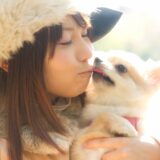 犬が皮膚炎の治し方｜原因やよくある症状、自宅でできる予防策を解説