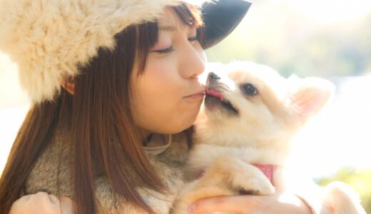 犬が皮膚炎の治し方｜原因やよくある症状、自宅でできる予防策を解説