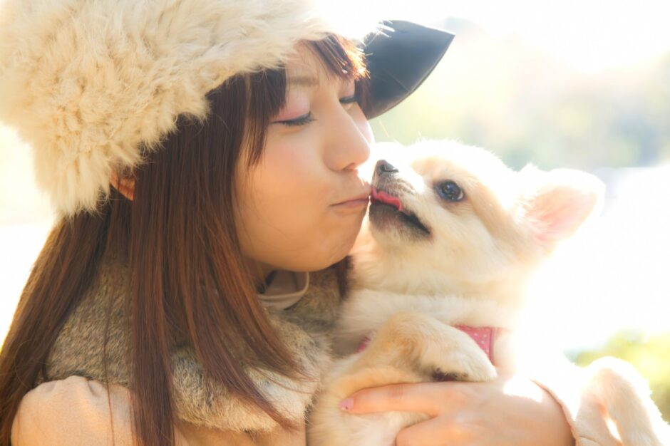 犬が皮膚炎の治し方｜原因やよくある症状、自宅でできる予防策を解説