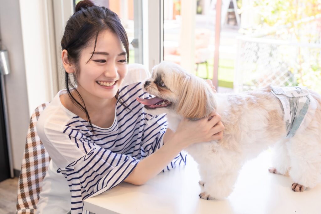 犬と飼い主