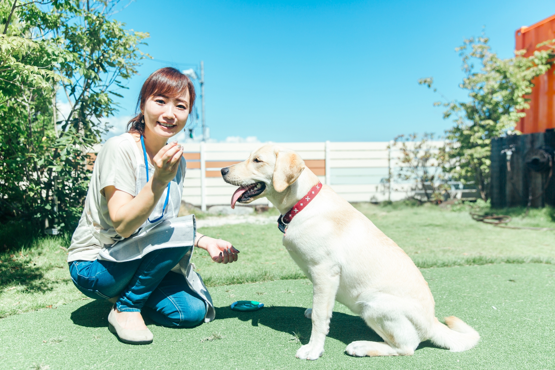 犬の世話をする女性