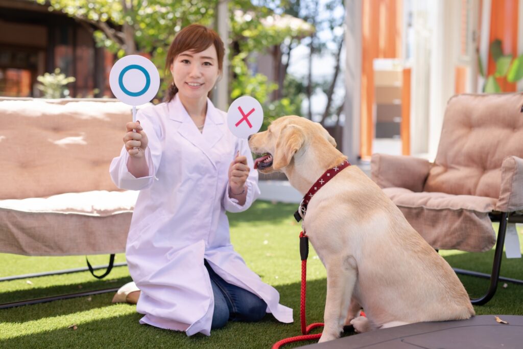 動物病院で再生医療が検討される疾患