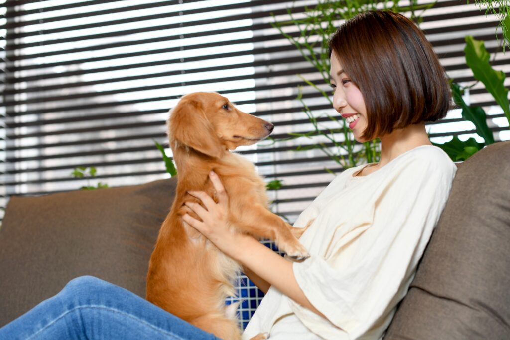 犬と飼い主
