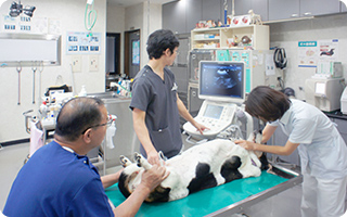 佐野獣医科病院photo