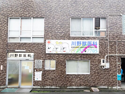 川野獣医科