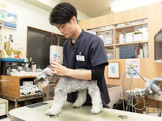 川野獣医科