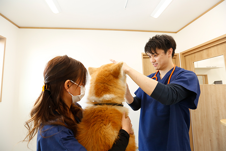 Talk動物病院photo