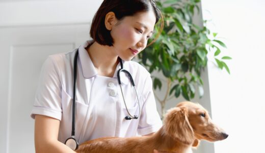 動物病院でペットがMRI検査を受けるべき症状は？検査を希望する際の確認事項や注意点も解説