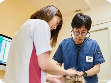 ノア動物病院