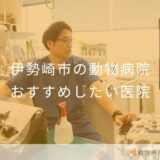 【2025年】伊勢崎市の動物病院 おすすめしたい5医院