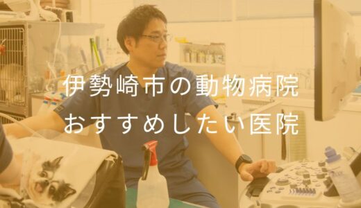 【2025年】伊勢崎市の動物病院 おすすめしたい5医院