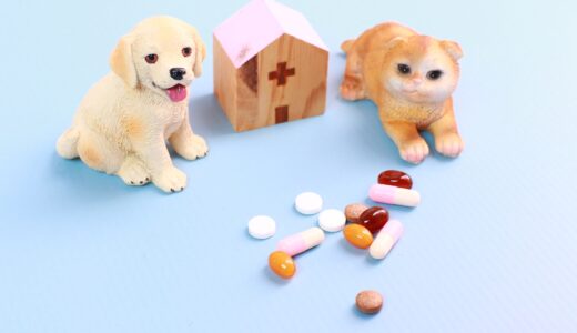 動物病院の検査前に準備することは？食事制限や持ちもの、当日の流れを紹介