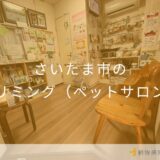 【2025年】さいたま市のトリミング（ペットサロン） おすすめしたい5サロン