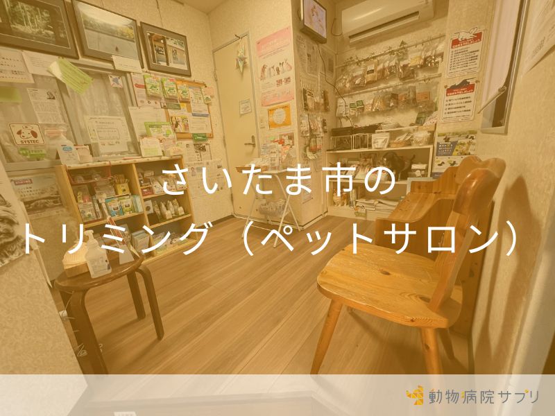 さいたま市のトリミング（ペットサロン）