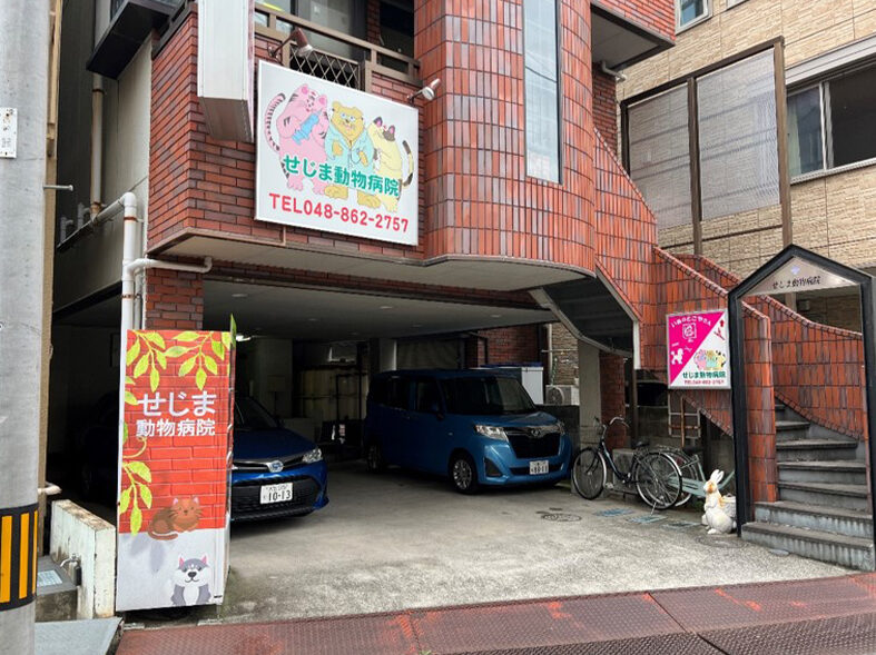 せじま動物病院