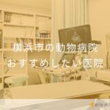 【2025年】横浜市の動物病院 おすすめしたい10医院