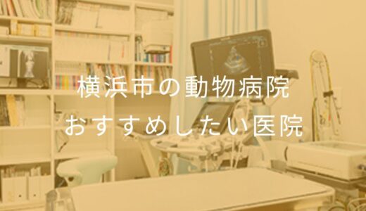 【2025年】横浜市の動物病院 おすすめしたい10医院