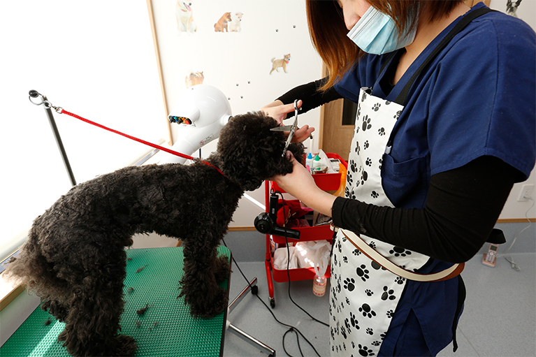Talk動物病院photo