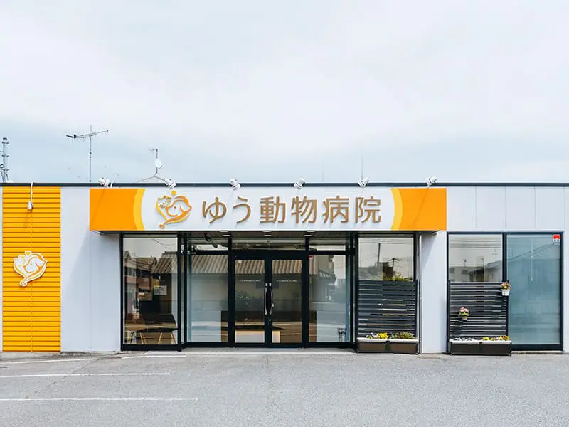 ゆう動物病院