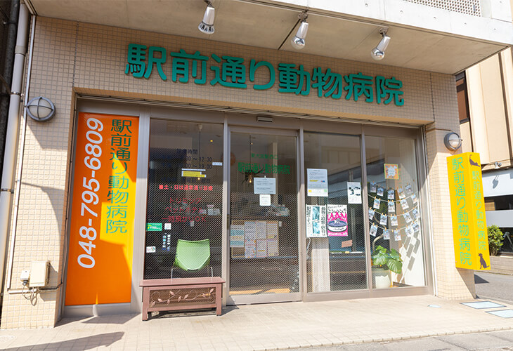 駅前通り動物病院