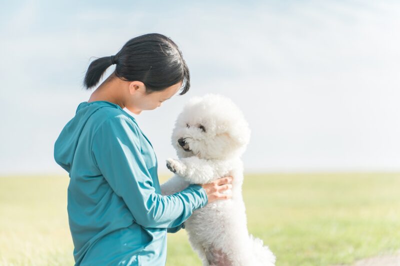 公園で犬と遊ぶ女の子・犬の散歩・運動
