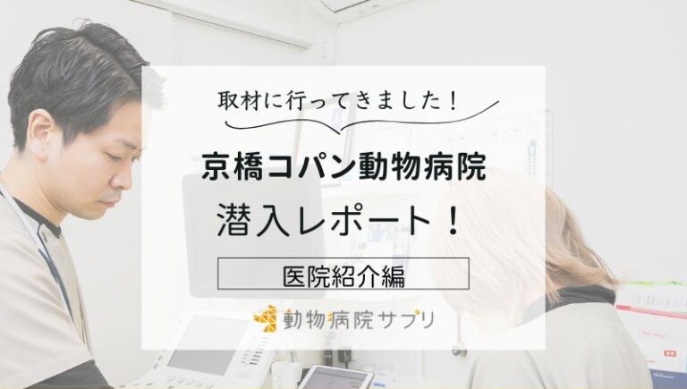 京橋コパン動物病院photo
