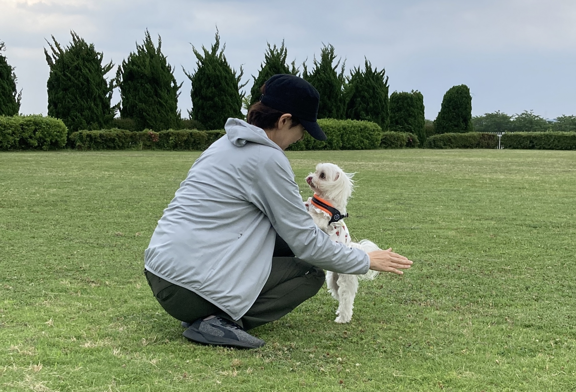 後ろ足で立つ犬