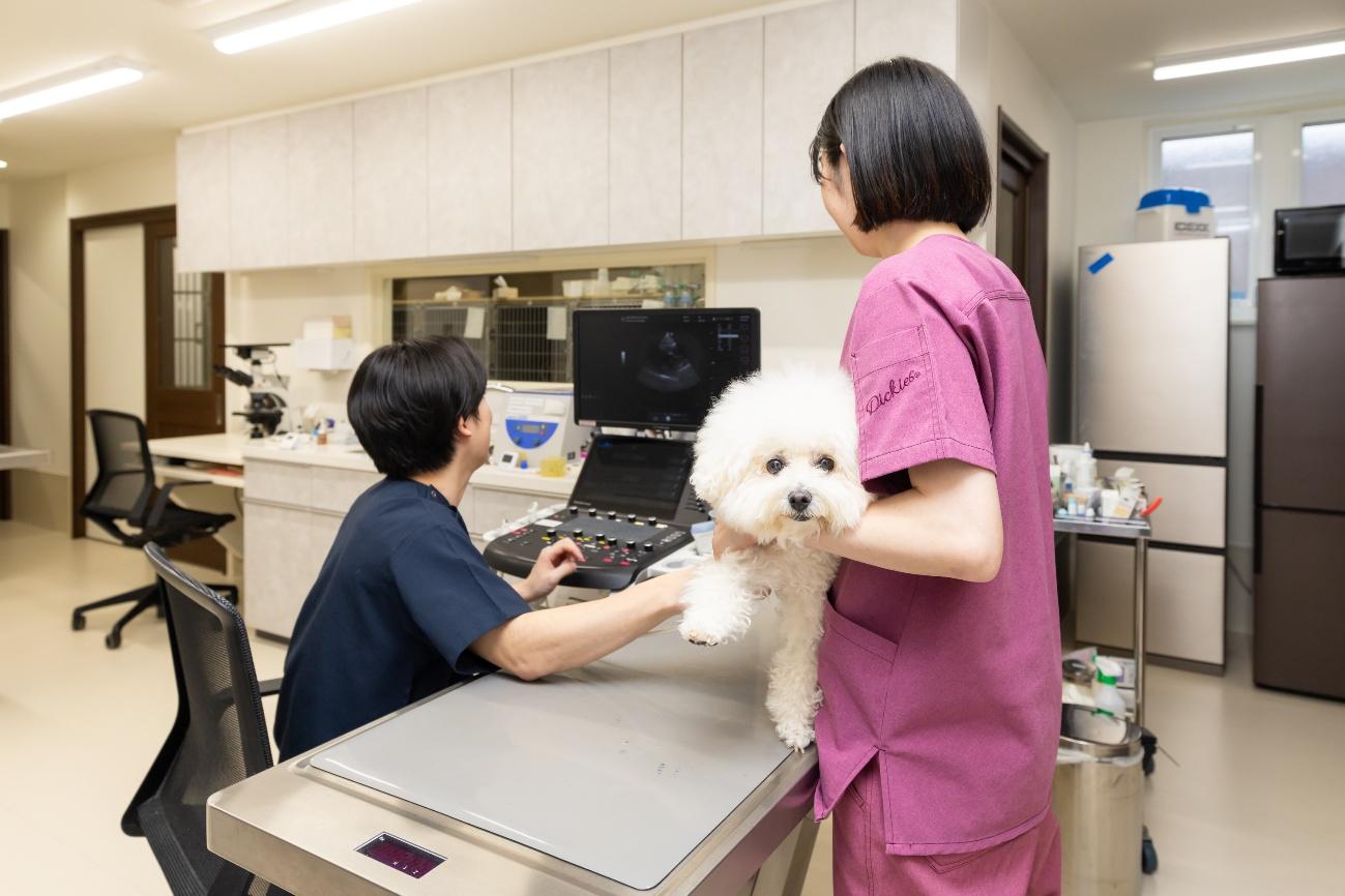 円山動物病院