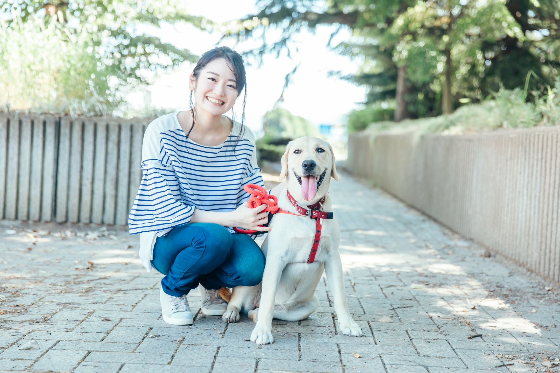 犬の散歩をする女性