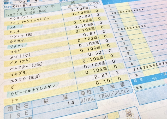 アレルギー専門動物病院で行われる主な検査内容