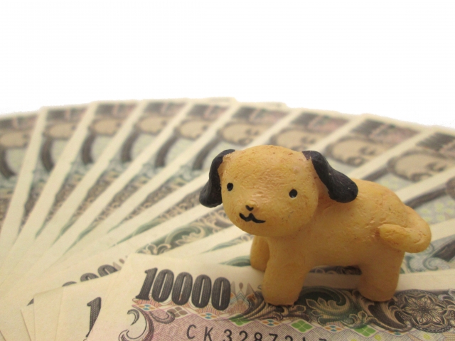 動物病院の訪問診療にかかる費用の目安