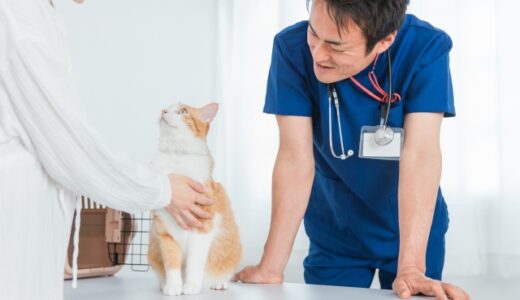 動物病院の入院費は？内訳やペットの種類別の目安を解説します