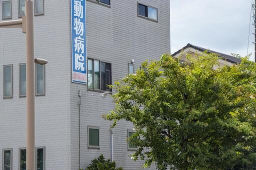 夜中でも動物病院に行くべきサインとは？探し方や受診の準備、費用の目安も解説します