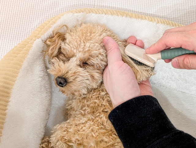 入院していた病院でのエンゼルケア