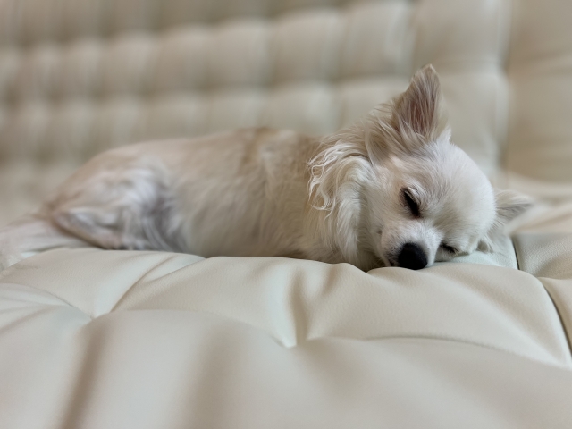 亡くなった子との最後の時間の過ごし方