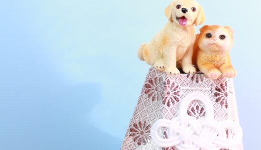 動物病院で入院中にペットが死亡したとき、飼い主としてできること