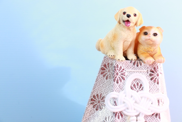 動物病院で入院中にペットが死亡したとき、飼い主としてできること