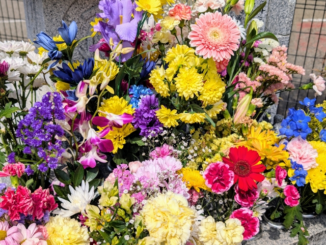 動物病院で亡くなったペットの供養について