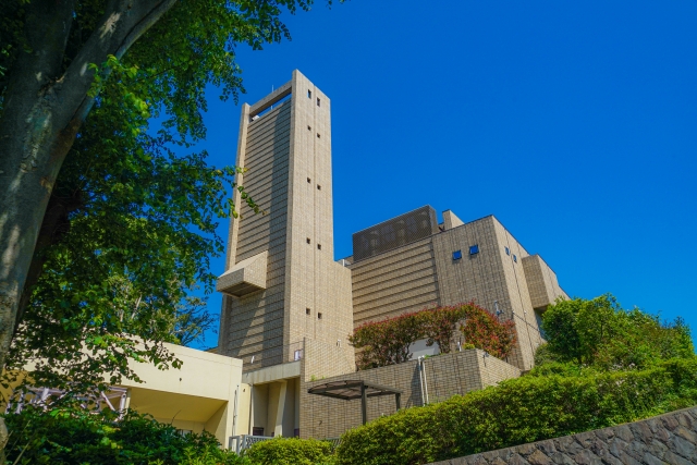 動物病院で亡くなったペットの火葬