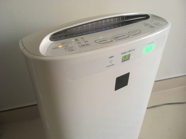 犬に喘息症状が出ているときの自宅でのケア